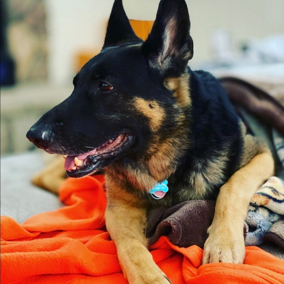 Meet your seller - Picture 11 of 11